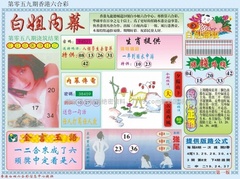 白小姐内幕A
